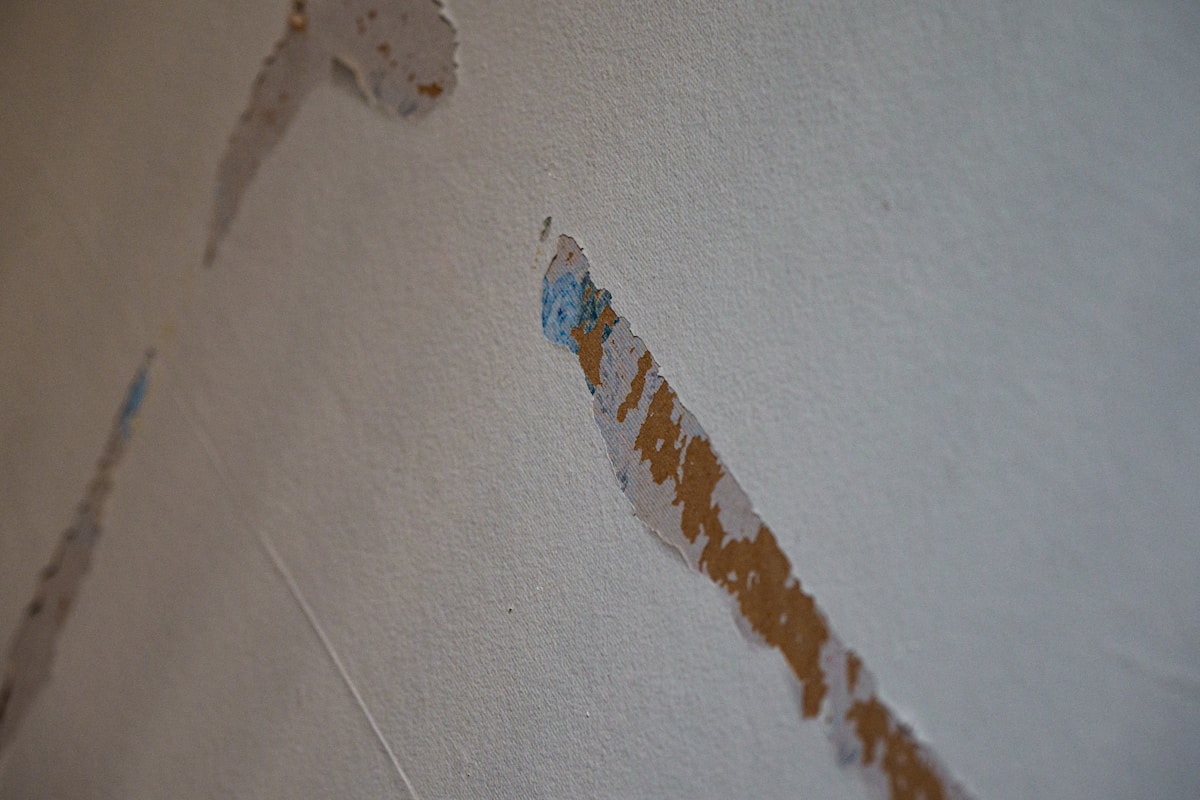 Commercial Water Damage service in Charleston, WV